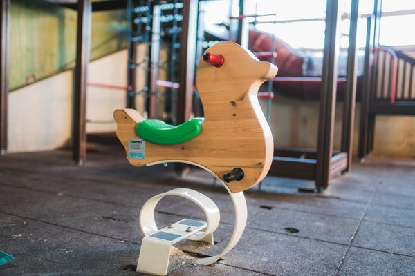 Haus am Spielplatz Strauß Schmallenberg - Schaukeltier im Indoorspielplatz Hof Köhne