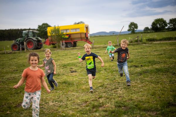 Feldscheune Feldscheune links Schmallenberg - Kühe zum Melken treiben