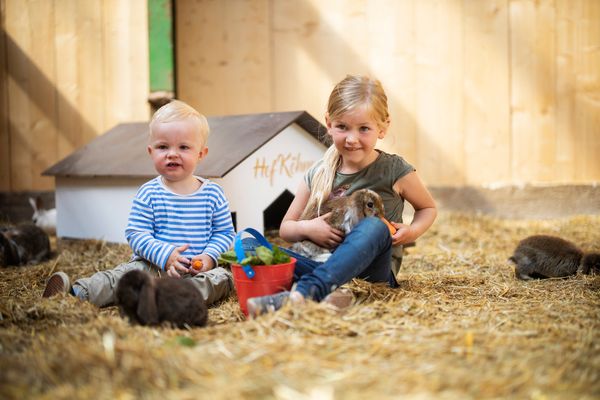 Waltons Waltons 2er Schmallenberg - Streicheleinhaiten für Hasen Hof Köhne
