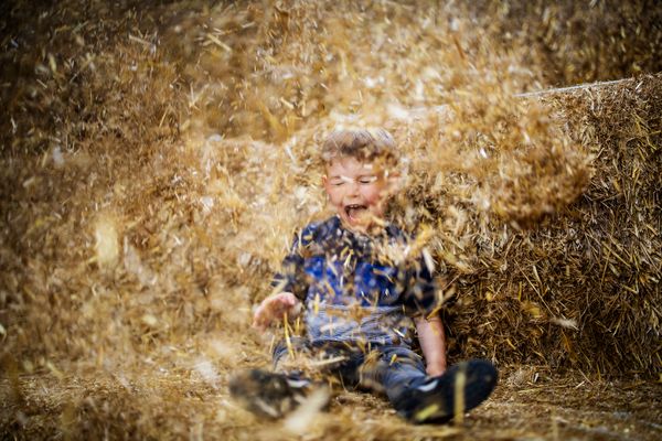 Doppelhaus Dreifachhexe Schmallenberg - Spaß im Stroh in der Strohburg Hof Köhne