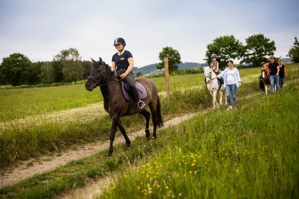 Forsthaus Forsthaus 2er Schmallenberg - Ausritt auf dem Hof Köhne