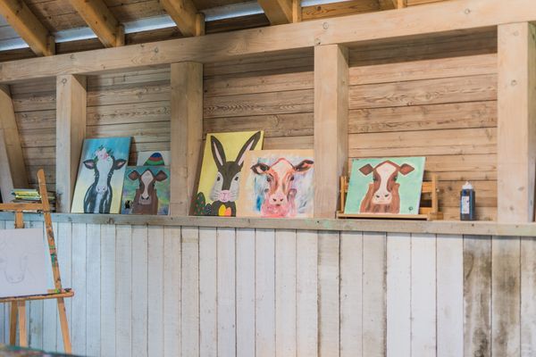 Haus am Berg Haus am Berg 4er Schmallenberg - Bilder aus den Malkursen Köhne