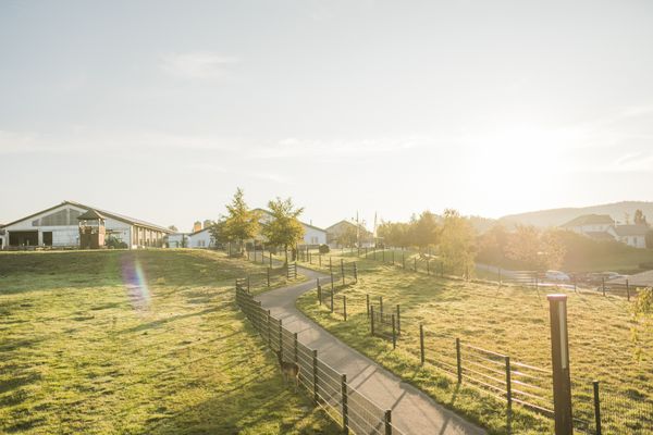 Landvergnügen Landvergnügen rechts Schmallenberg - Aussicht auf den Kuhstall des Biohofs Köhne