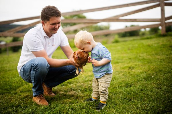 Kastanienhaus Kastanienhaus Schmallenberg - Hühner auf dem Urlaubsbauernhof Köhne