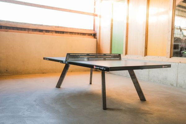 Kastanienhaus Kastanienhaus Schmallenberg - Tischtennis im Indoorspielplatz Hof Köhne