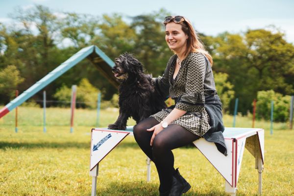 Haus am Spielplatz Strauß Schmallenberg - Agilityparcours Hundeurlaub Bauernhof Köhne