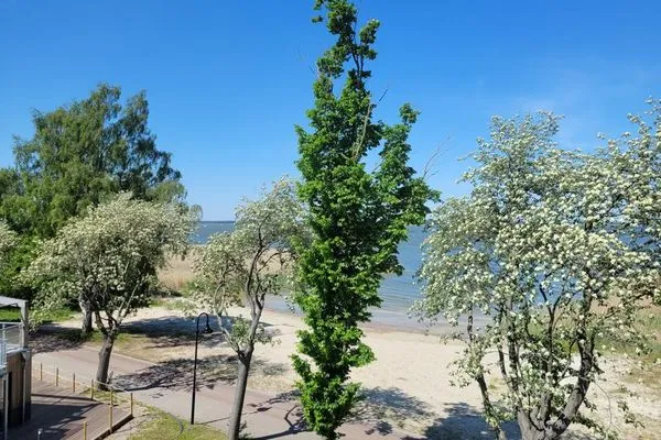 Haus Zingst Appartement 26 Zingst - 