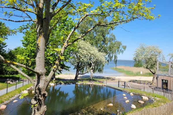 Haus Prerow Appartement 36 Zingst - 