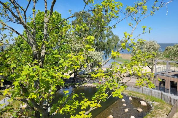 Haus Prerow Appartement 43 Zingst - 