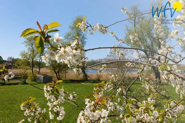Landschaft Ferienappartements Am Neuensiener See Ferienwohnung 23