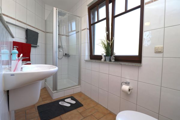 FERIENWOHNUNGEN AM STÜCKWEG Schlehenhaus, App. 01 Ostseebad Prerow - 