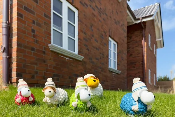 Fassade / Eingang Haus Dünenperle Ferienwohnung "Dünengras"