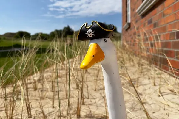 Dekoratives Detail Haus Dünenperle Ferienwohnung "Dünengras"