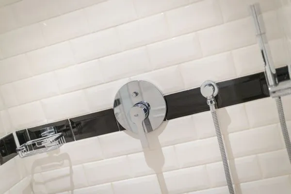   Pidder Lyng Schilfblatt, Whg 2