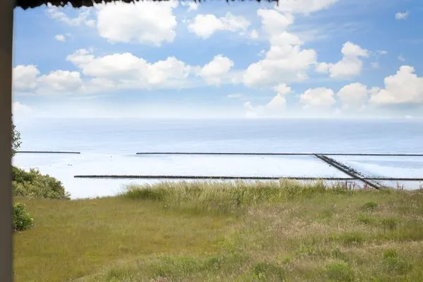   Pidder Lyng Heckenrose Whg 7