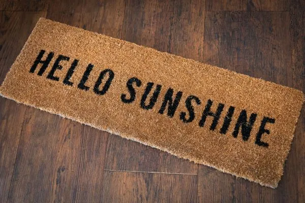 Buhne Buhne 1 SPO Ording - 