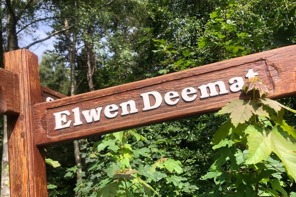 Antje Sammen Whg. 61 Amrum - 