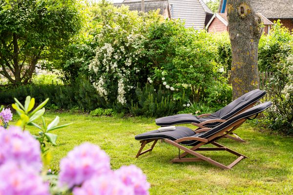  Landhaus Born Born - Garten