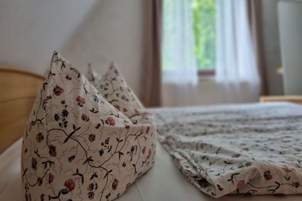 Pension & Wirtshaus ''Tun Eikkoter'' Haselnöt Wieck - Bett