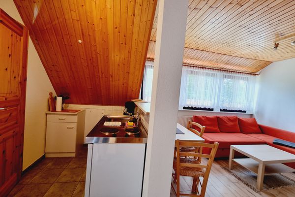 Pension & Wirtshaus ''Tun Eikkoter'' Eichkatze Wieck - Küche / Küchenzeile