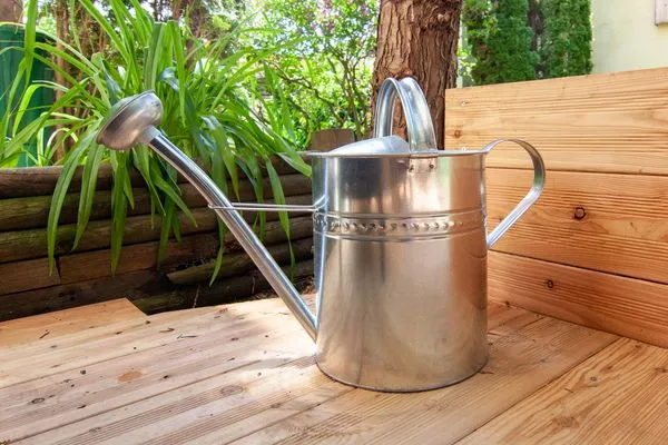 Terrace  Birkwitzer Stübchen - zwischen Sächsischen Schweiz und Dresden, ruhig