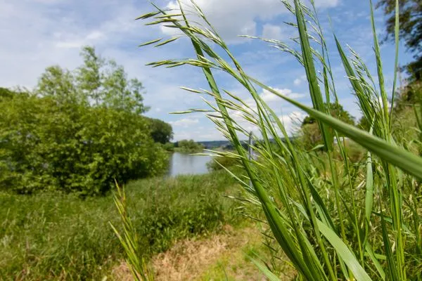 Neighbourhood  Birkwitzer Stübchen - zwischen Sächsischen Schweiz und Dresden, ruhig