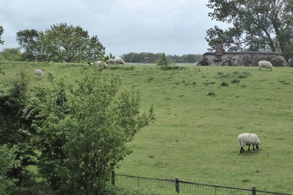  Ferienhütt Poppenbüll,Osterhever,Tetenbüll - Umgebung