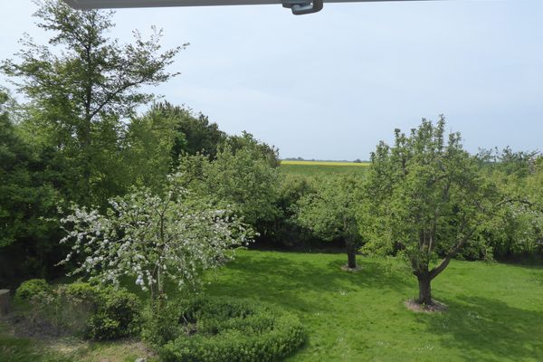  Ferienhütt Poppenbüll,Osterhever,Tetenbüll - Umgebung