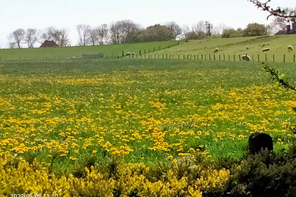  Ferienhütt Poppenbüll,Osterhever,Tetenbüll - Umgebung