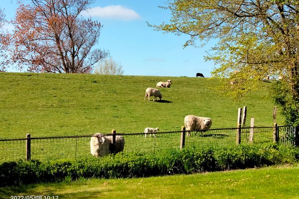  Ferienhütt Poppenbüll,Osterhever,Tetenbüll - Umgebung