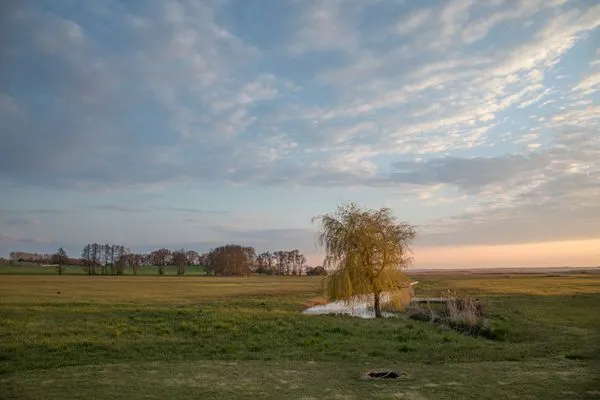 Landschaft  Ferienwohnung Sonneninsel
