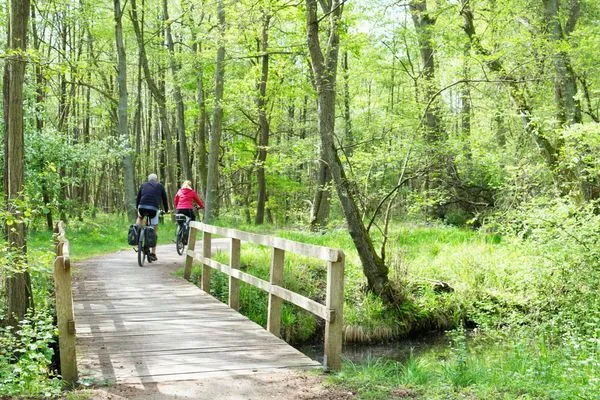Ferienwohnung Leonie Hafenresidenz Waren (Müritz) - Umgebung Waren (Müritz)  Leonie
