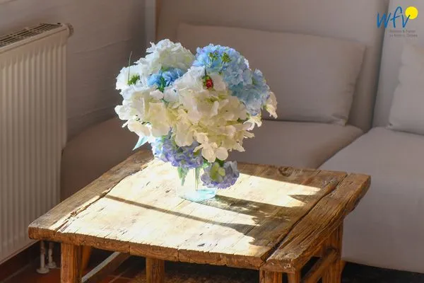 Dekoratives Detail Ferienhaus am Gutspark Dranske Ferienwohnung Strandhafer