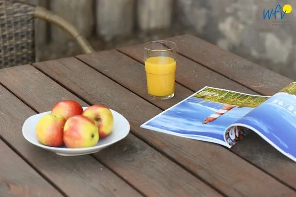 Dekoratives Detail Ferienhaus am Gutspark Dranske Ferienwohnung Silbergras