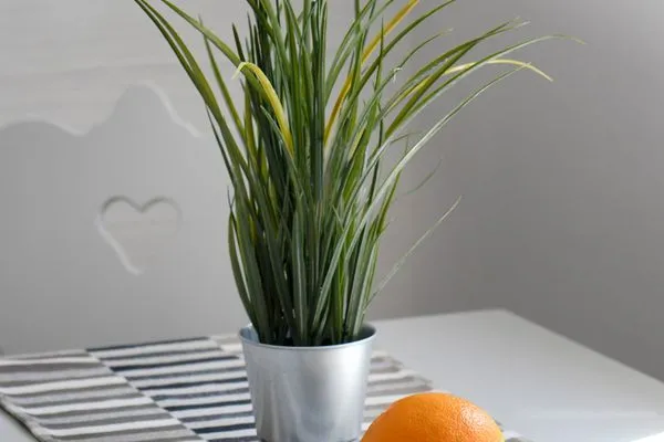 Dekoratives Detail Ferienhaus am Gutspark Dranske Ferienwohnung Sandglöckchen