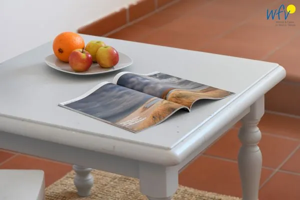 Dekoratives Detail Ferienhaus am Gutspark Dranske Ferienwohnung Seegras