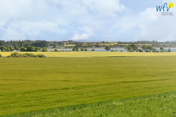  Ferienhaus am Gutspark Dranske Ferienwohnung Strandflieder