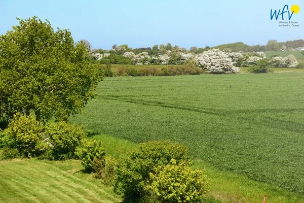  Ferienhaus am Gutspark Dranske Ferienwohnung Strandflieder