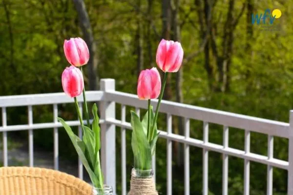 Dekoratives Detail Haus Oldenburg Ferienwohnung 8