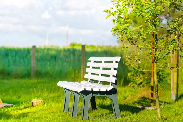  Am Bodden Krapp´s - Boddenidyll Wieck - Dekoratives Detail