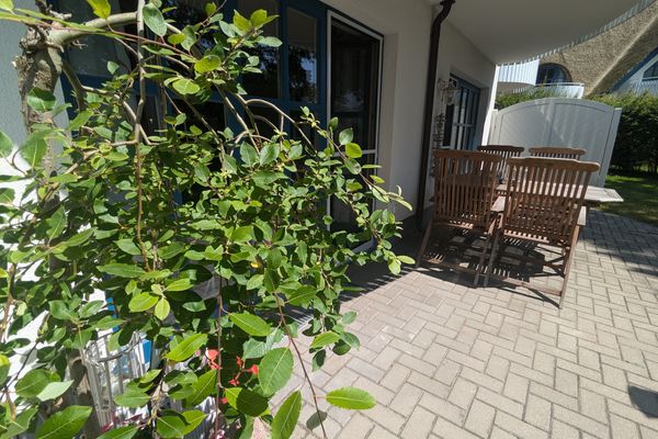  Freibeuter Born auf dem Darß - 