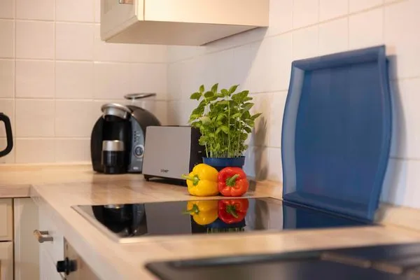 Küche / Küchenzeile  (BIR45) Ferienhaus Dat Hes-Hus