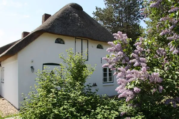 Garten hinter dem Friesenhaus Amrum in Süddorf auf der Nordseeinsel Amrum Friesenhaus Amrum Hommelkasche