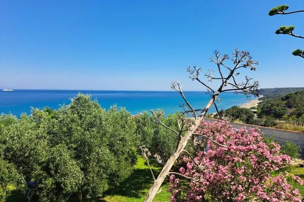 Gartenblick  Ithaka 1