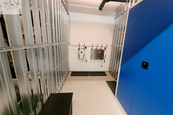 Dekoratives Detail  Penthouse Apartment Bergkristall by FiS - Fun in Styria