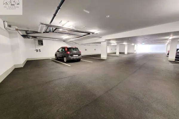 Empfang  Penthouse Apartment Bergkristall by FiS - Fun in Styria