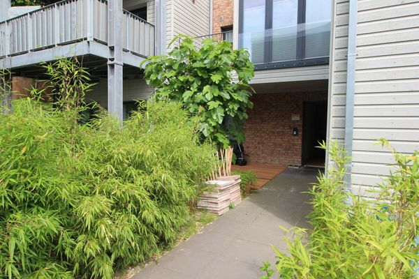  Ferienwohnung Dünenloft Wangerooge - 