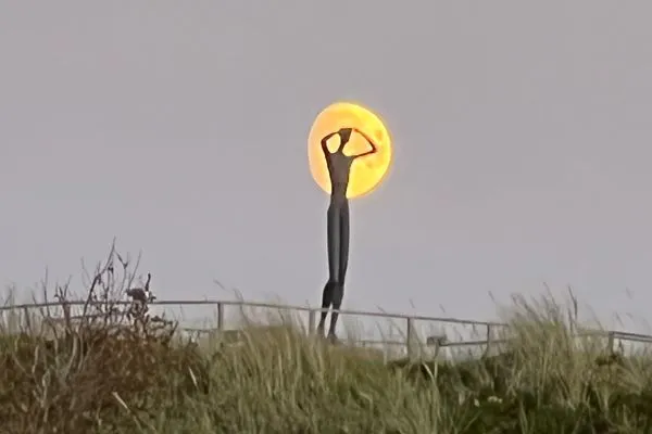   Haus Seeschwalbe Spiekeroog - Wohnung 12