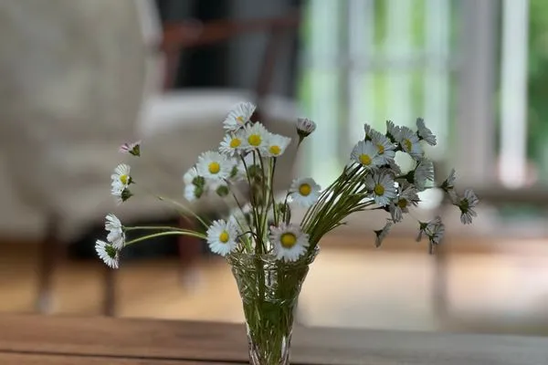   Ferienwohnung "Wasserburg"