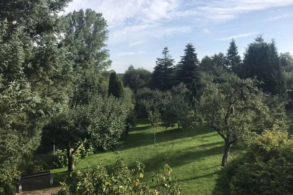   Spöökenkieker-Heiners Eck